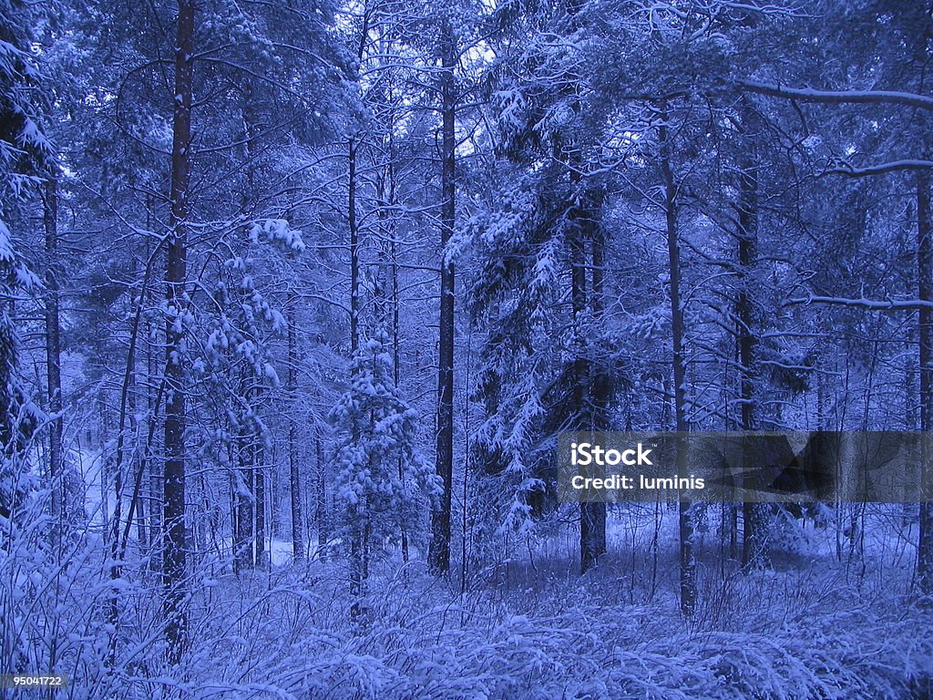 Neve coberta de árvores - Foto de stock de Azul royalty-free