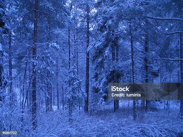 Foto de Neve Coberta De Árvores e mais fotos de stock de Azul - Azul, Beleza natural - Natureza, Bosque - Floresta