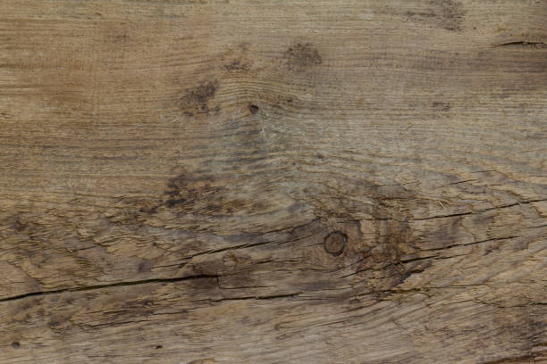 istock Abstract background of a light brown structure of an old tree 950420604