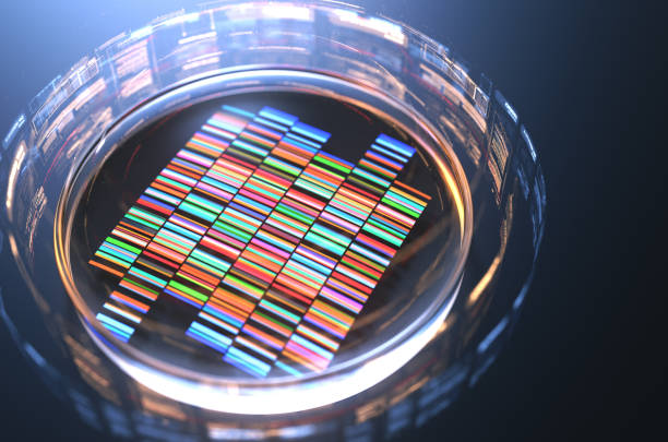 Petri dishes with samples for DNA sequencing,3d rendering. stock photo