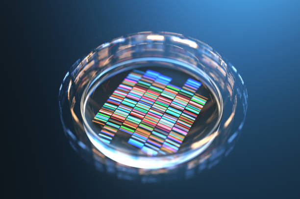 Petri dishes with samples for DNA sequencing,3d rendering. stock photo