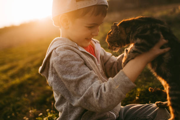 istock Little boy and his cat 950424958