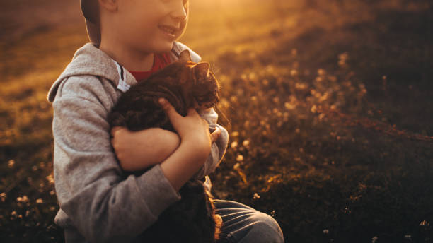 istock Little boy and his cat 950425188