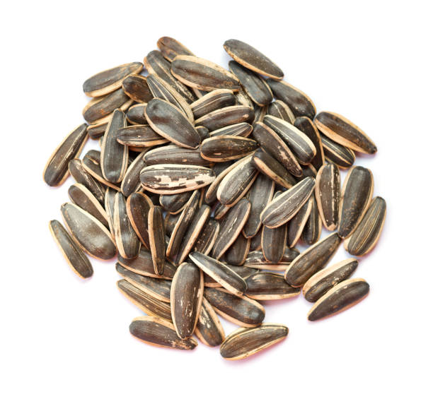 istock sunflower seeds on white background 950425216