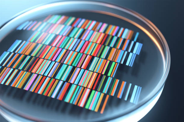 placas de petri com amostras para sequenciamento de dna, renderização em 3d. - nucleotides - fotografias e filmes do acervo