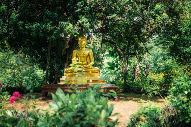 istock Buddha statue enshrined under the tree 950430684