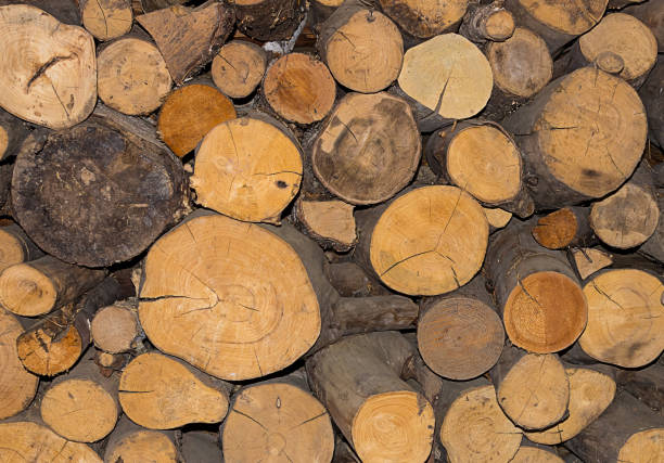 firewood pile background, close-up billet for winter heating, natural pine trunks