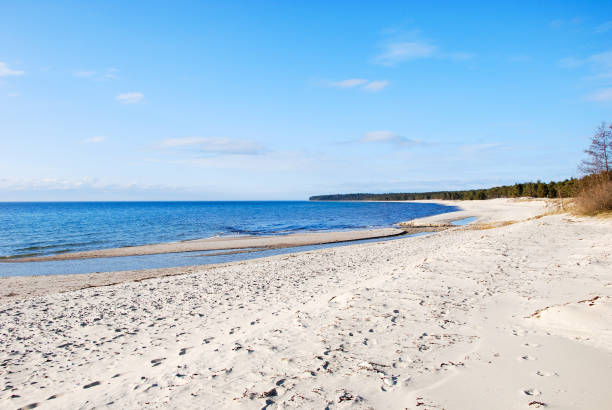 istock Lovely sand beach with blue water and sky 950433308