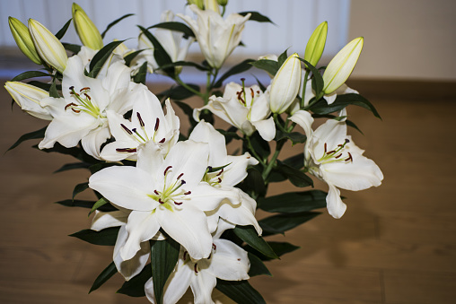 White lilies in a bouquet. Abstract photo of flowers.