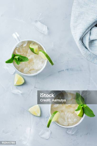 Moscow Mule Cocktail With Vodka Ginger Beer Lime And Mint Stock Photo - Download Image Now