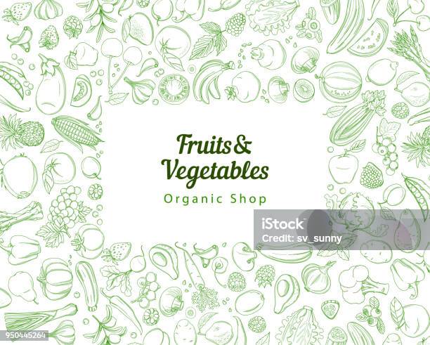 Cornice Bordo Sfondo Modello Verde Frutta E Verdura Tropicale Fresca - Immagini vettoriali stock e altre immagini di Verdura - Cibo