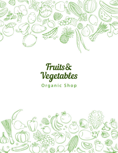 illustrations, cliparts, dessins animés et icônes de cadre bordure fond motif vert tropicales fruits frais et légumes - white tomato backgrounds vegetable