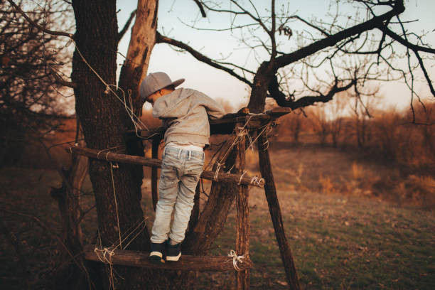 istock Climbing up to my tree house 950447072