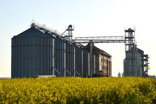 The complex silo installations for the storage of grain, under construction