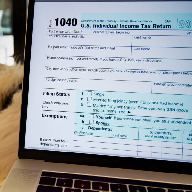 Filing on Laptop, IRS Form 1040, Individual Income Tax Return 2 stock photo