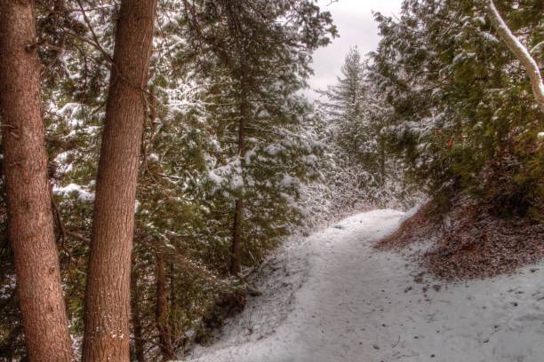 istock Chester Park is a City Park in Duluth, Minnesota during Winter 950455688