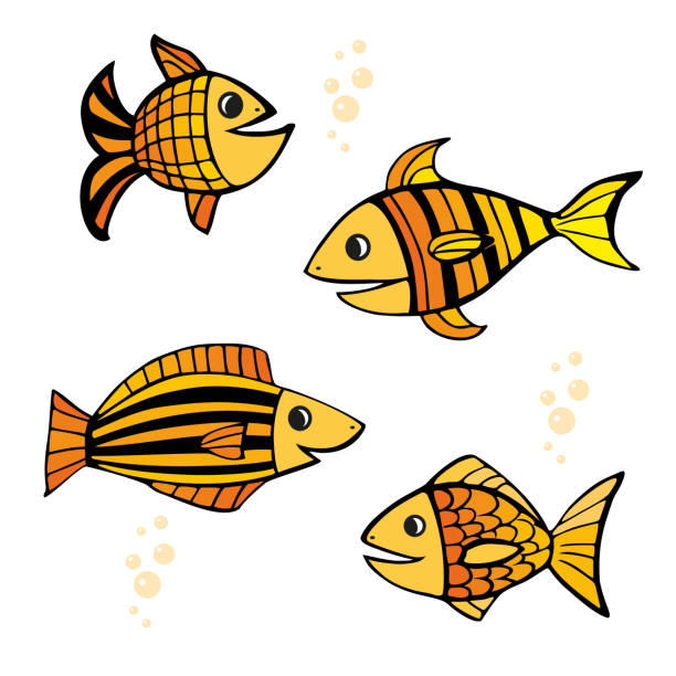 ilustraciones, imágenes clip art, dibujos animados e iconos de stock de conjunto de cuatro aislados dibujado a mano de color amarillo y naranja peces con trazos negros sobre fondo blanco. - goldfish fish swimming four animals