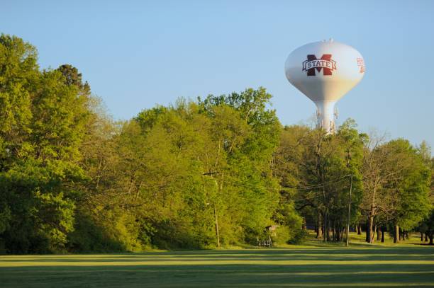 Water tower at Mississippi State University Mississippi State University, Mississippi, USA - April 16, 2018: Water tower on the campus of Mississippi State University.  Tower located near the intersection of Blackjack Road and Oktoc Road. mississippi state university stock pictures, royalty-free photos & images