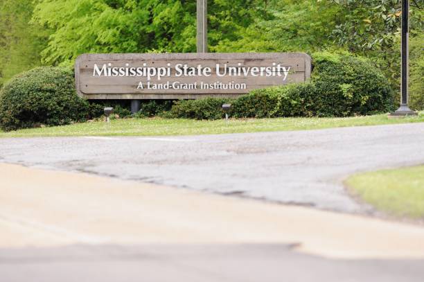 Mississippi State University A land-grant institution sign Mississippi State University, Mississippi, USA - April 16, 2018: Close up of Mississippi State University a Land-Grant Institution sign near the entrance to campus.  Sign located along E Lee Boulevard near the Highway 182 entrance to campus. mississippi state university stock pictures, royalty-free photos & images