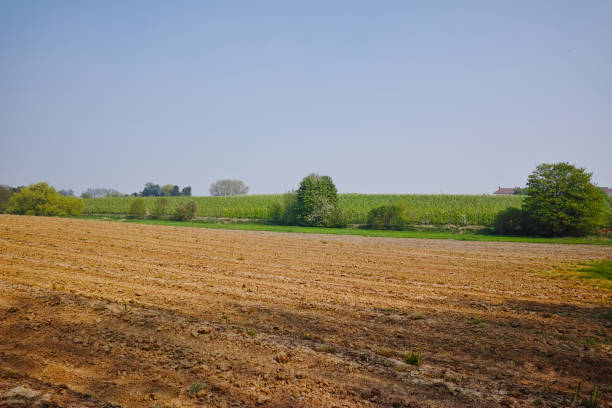 Spring fields countryside panorama landscape with fresh plowed field