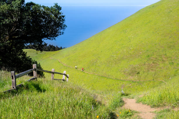 Hiking on Mt Tam Nice day to hike on Mt Tam in the Spring marin county stock pictures, royalty-free photos & images