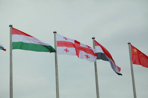 istock Flags of different countries on the background of the sky 950464422