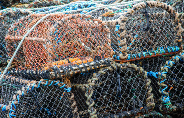 istock Lobster Pots, Craster - Northumberland 950464906