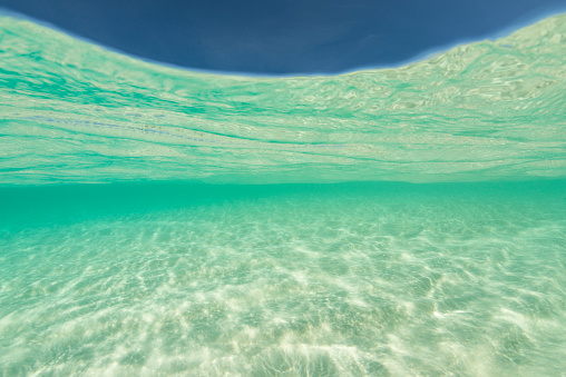 Undersea view at Point of Sand in Little Cayman Island, Cayman Islands