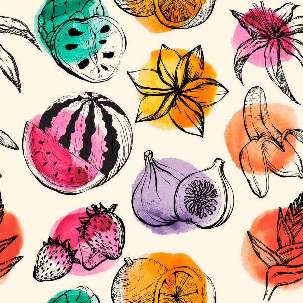 illustrations, cliparts, dessins animés et icônes de modèle sans couture avec des fruits tropicaux flowersand - fruit drawing watermelon pencil drawing