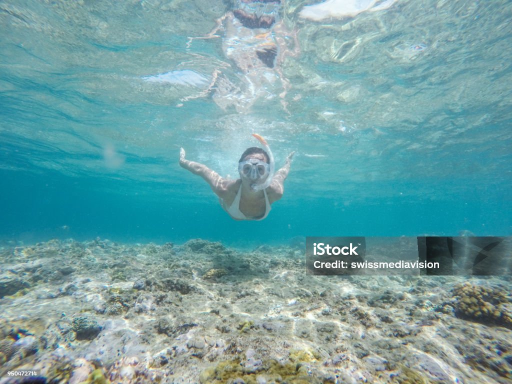 Summer vacations young woman diving underwater with snorkel mask, people travel fun Cheerful girl dive underwater over coral reef in sea snorkel mask, crystal clear water in the Gili Islands near Bali, Lombok region, Indonesia. People travel summer fun vacations tropical climate concept. One person wanderlust traveling the world. Indonesia Stock Photo