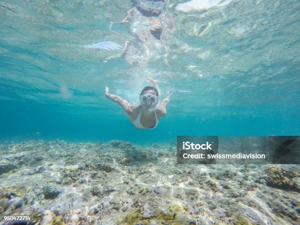 Summer Vacations Young Woman Diving Underwater With Snorkel Mask People Travel Fun Stock Photo - Download Image Now
