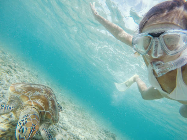 istock Selfie of girl with turtle underwater 950472992