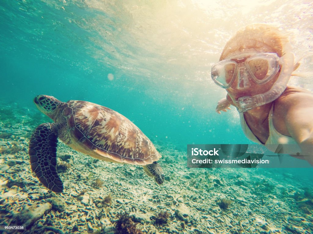Selfie di ragazza con tartaruga sott'acqua - Foto stock royalty-free di Scuba Diving