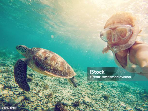 Selfie Di Ragazza Con Tartaruga Sottacqua - Fotografie stock e altre immagini di Scuba Diving - Scuba Diving, Maschera da snorkeling, Bali