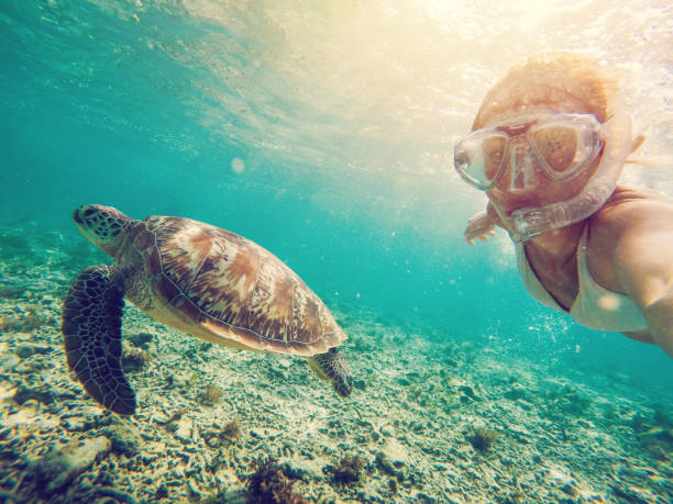 Selfie of girl with turtle underwater stock photo
