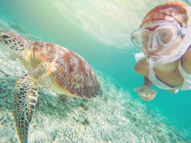 istock Selfie of girl with turtle underwater 950473048