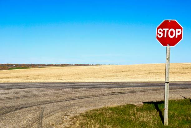 istock Stop sign in front of farm field 950474572