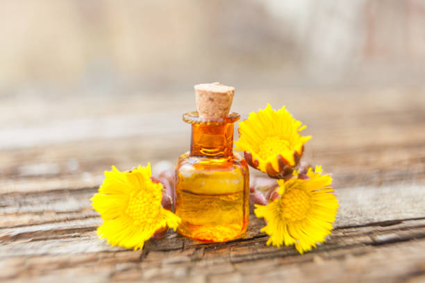 istock foalfoot essential oil in  beautiful bottle on table 950477892