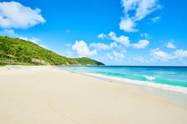 istock tropical Beach Police Bay (white sand and turquoise sea) , south 950479500