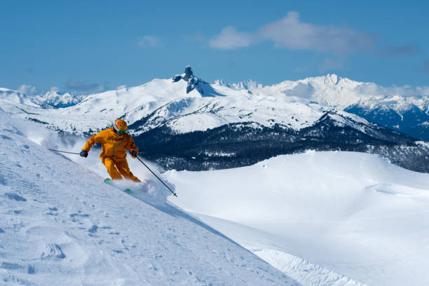 istock Skiing powder in Whistler, BC 950481616