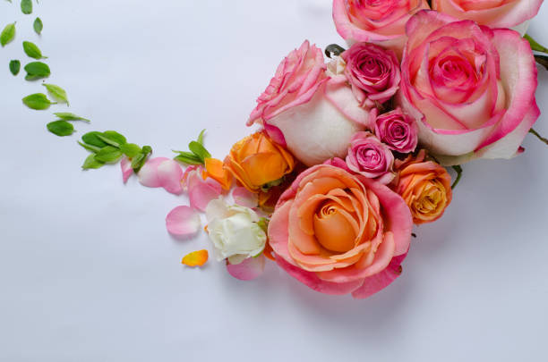 istock Live roses frame. Beautiful floral background. Card Template to spring holidays with creative space for text. 950482078