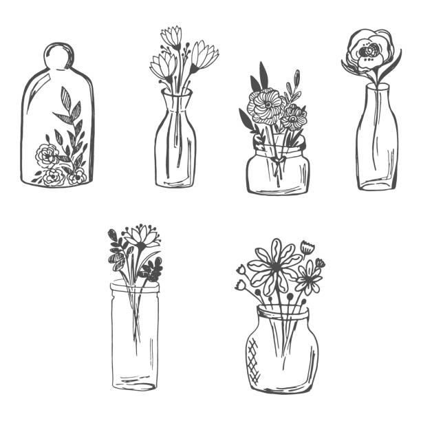 ilustrações, clipart, desenhos animados e ícones de flores em vaso, mão desenhada, desenho - vase