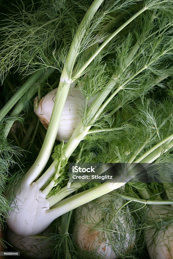 Close-up of a bunch of fennel roots and leaves Fragrant fennel bulbs on display at a farmers' market. Fennel Stock Photo
