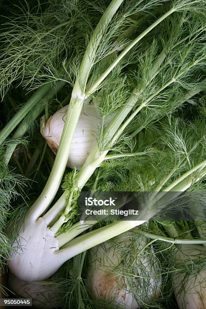 Closeup Of A Bunch Of Fennel Roots And Leaves Stock Photo - Download Image Now - Fennel, Agricultural Fair, Backgrounds