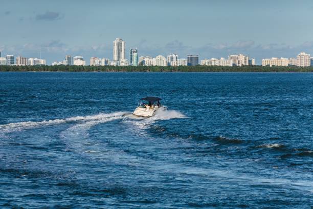 istock Sport Boat in Biscayne Bay 950506306