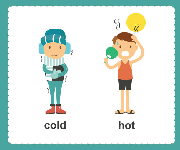 Opposite English Words cold and hot vector illustration vector art illustration