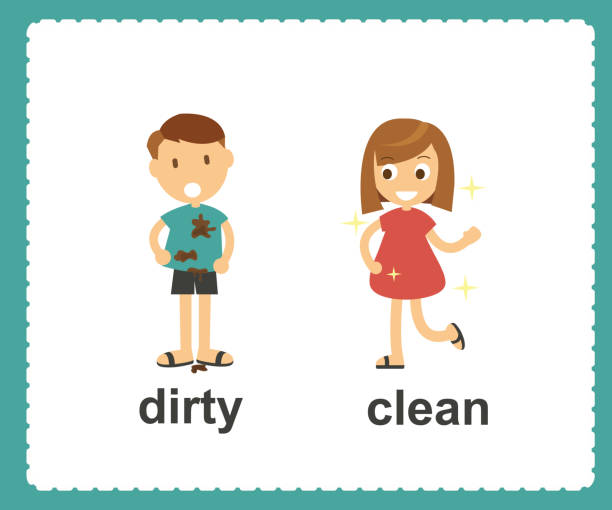 Opposite English Words dirty and clean vector illustration vector art illustration