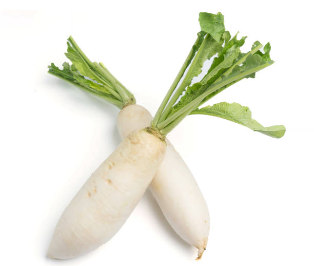 istock daikon radishes isolated on white background 950511270