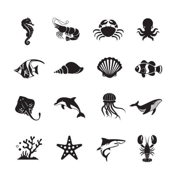 ikona aplikacji sea life and ocean animals - sea life stock illustrations