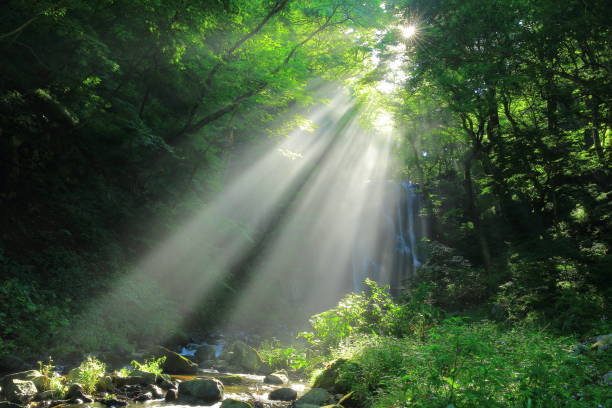 istock Kameda immobile waterfall in the summer 950519780